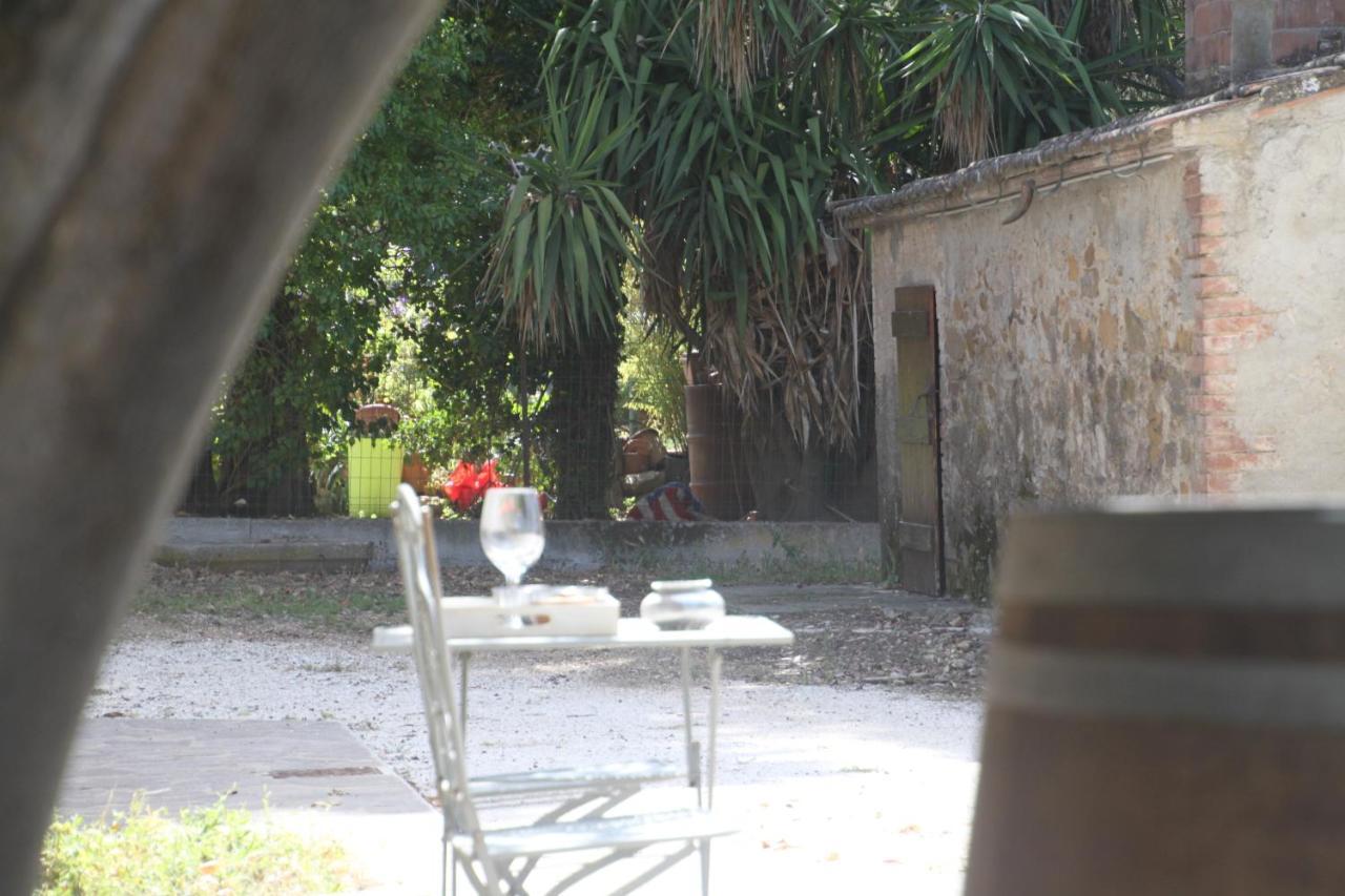 Agriturismo Il Broletto Apartment Suvereto Exterior photo