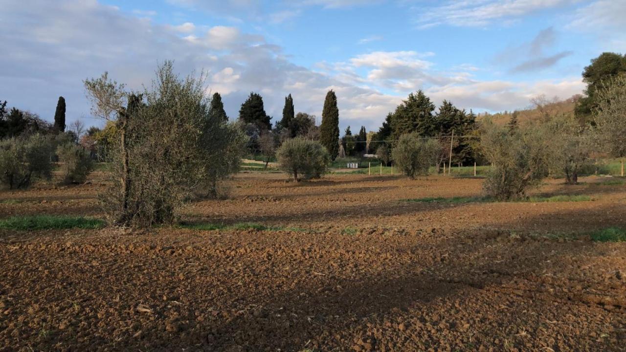 Agriturismo Il Broletto Apartment Suvereto Exterior photo